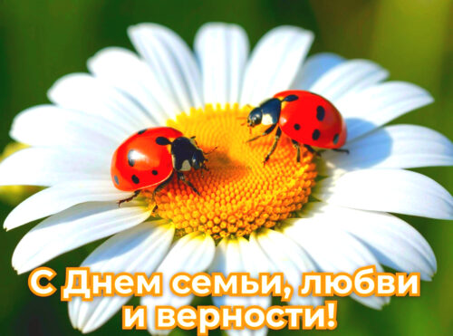 Открытки с днем семьи